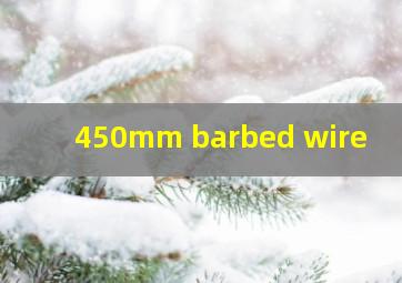  450mm barbed wire